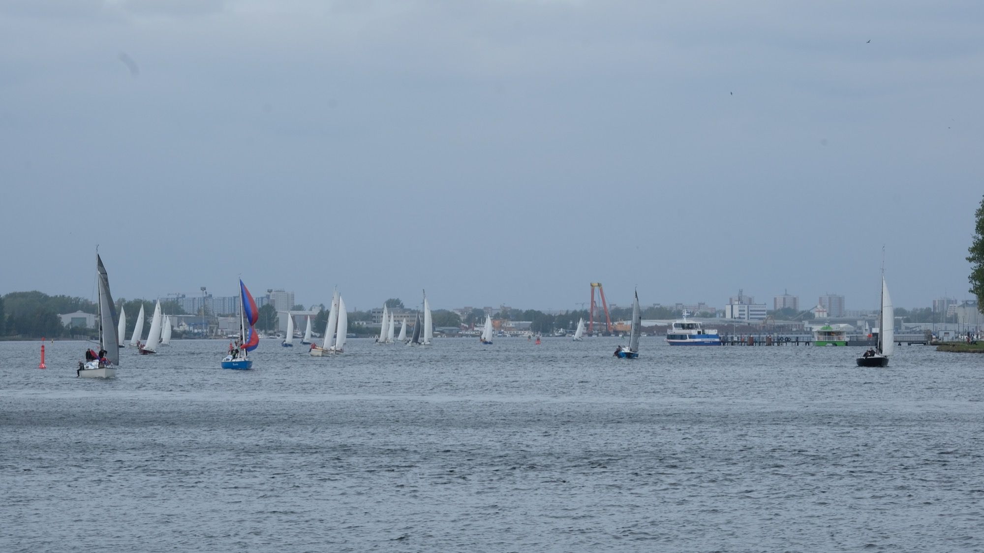 Senatorenregatta Nummer 28