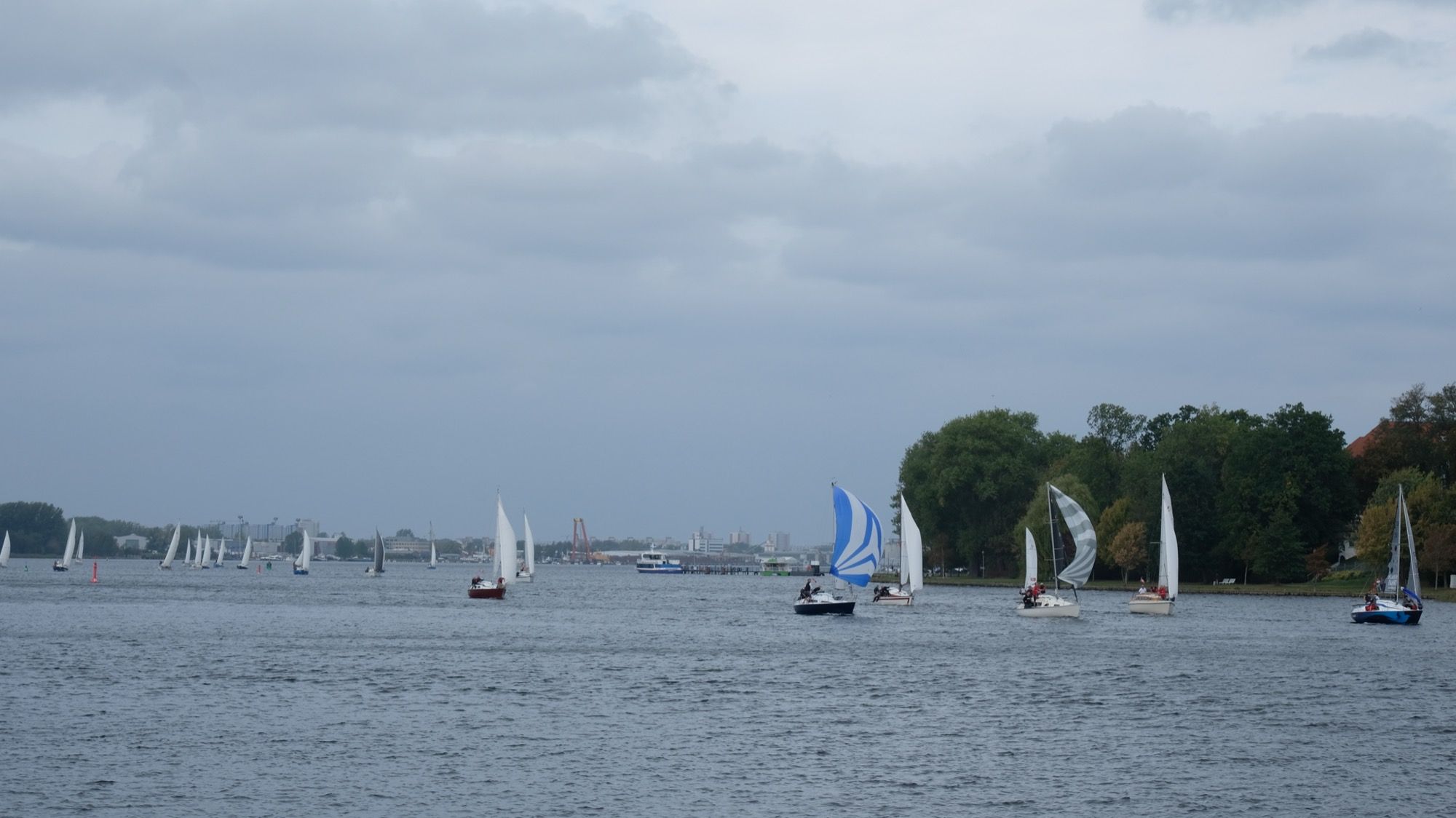 Senatorenregatta Nummer 28