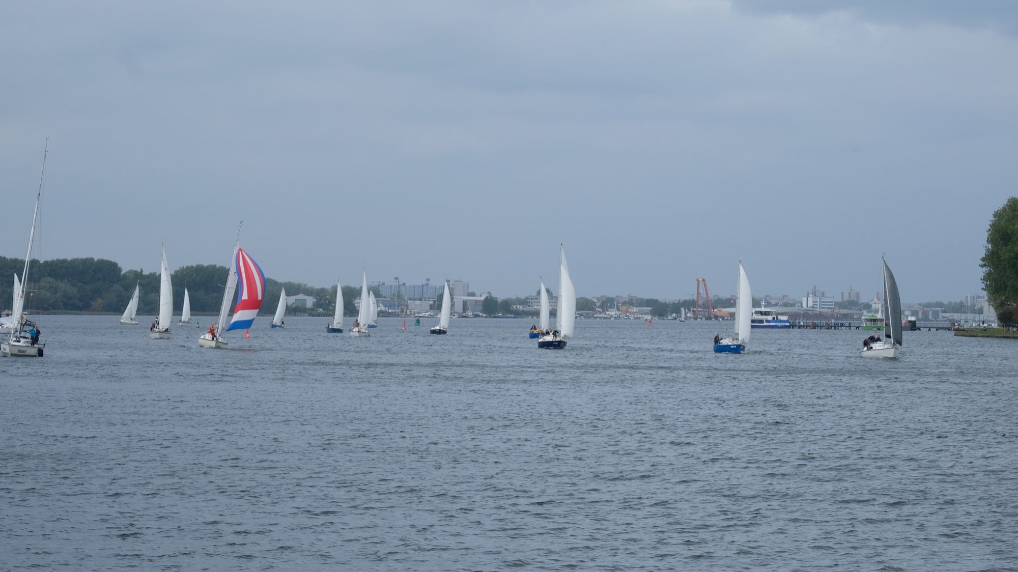 Senatorenregatta Nummer 28