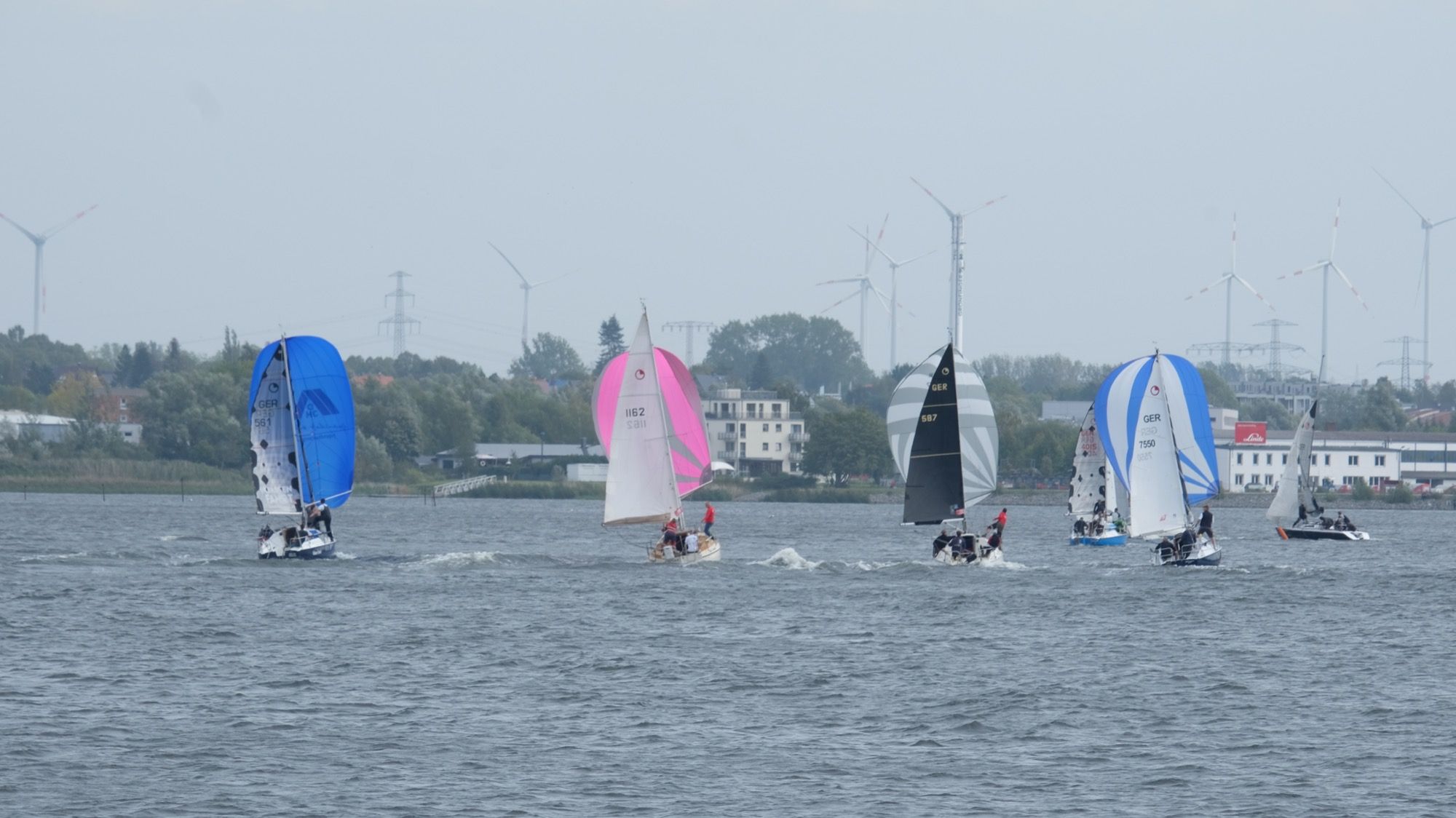 Senatorenregatta Nummer 28