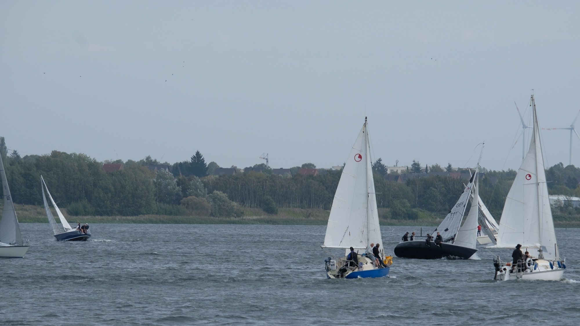 Senatorenregatta Nummer 28