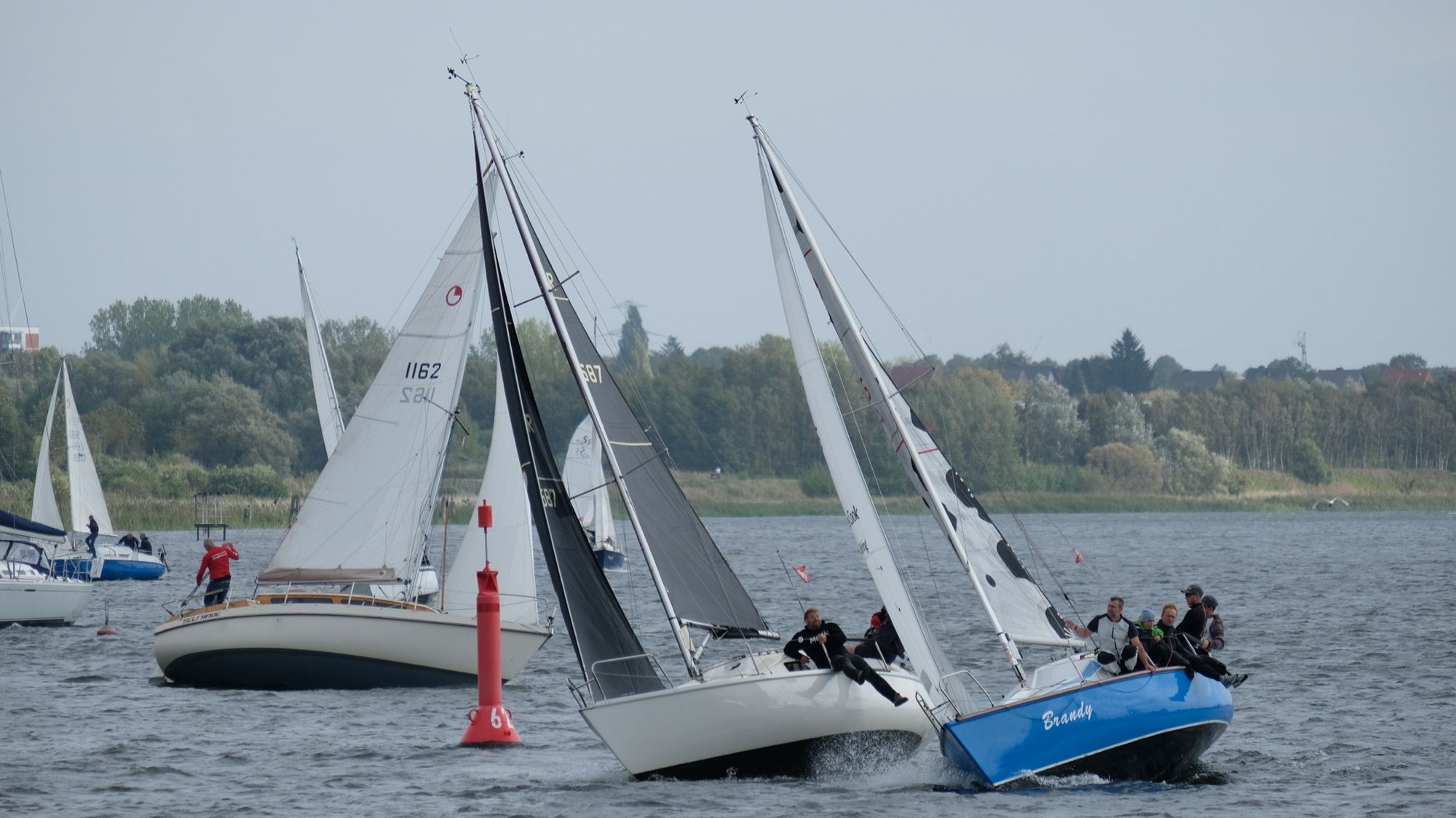 Senatorenregatta Nummer 28